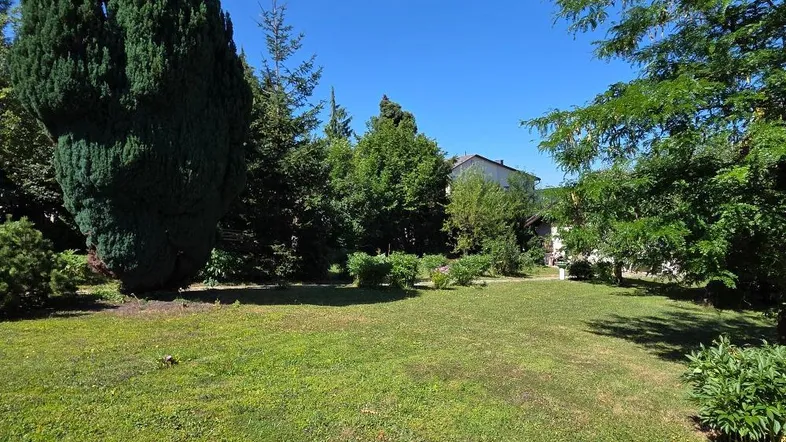 Großer, gepflegter Garten mit Rasenfläche und verschiedenen Bäumen unter blauem Himmel.