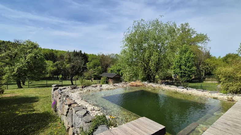 Natürlicher Schwimmteich mit Holzdeck, umgeben von grüner Wiese und Bäumen unter blauem Himmel.