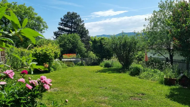 Großer, gepflegter Garten mit Rasenfläche, blühenden Pflanzen und weitem Blick in die Natur.