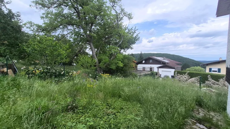 Großer, naturbelassener Gartenbereich mit Blick auf umliegende Häuser und bewaldete Hügel.