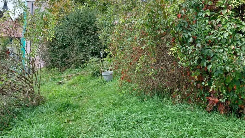 Verwilderter Gartenbereich mit dichtem Bewuchs und hohem Gras, teilweise mit Gebäudeblick.