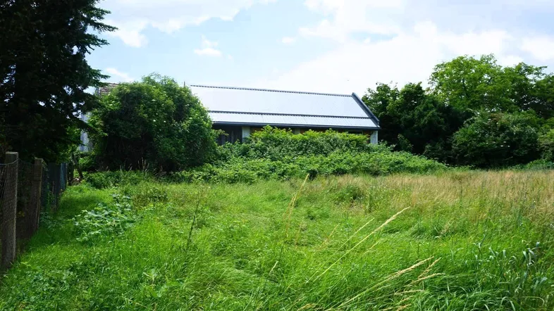 Blick auf ein von viel Grün umgebenes Haus mit einem großen, verwilderten Gartenbereich im Vordergrund.