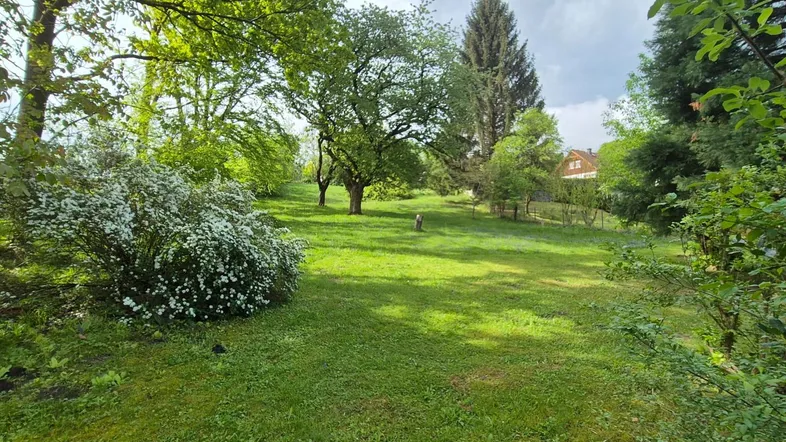 Weitläufiger Gartenbereich mit gepflegtem Rasen, Bäumen und Sträuchern, ideal für Erholung.