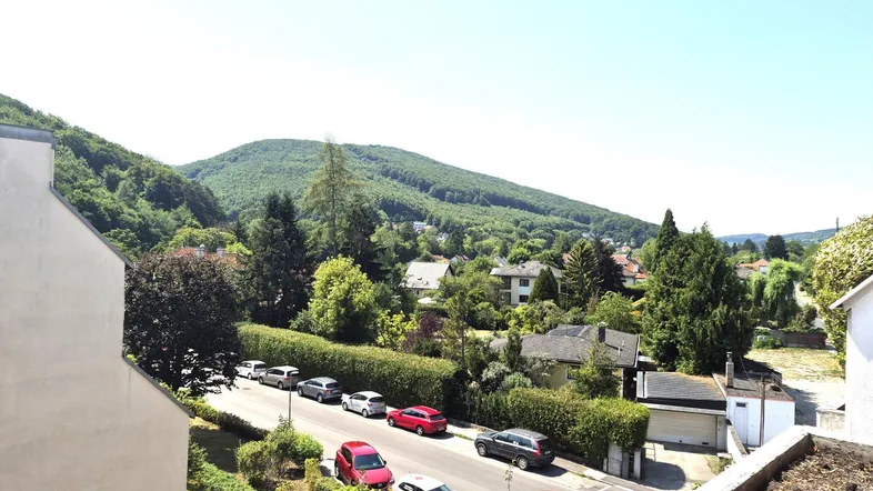 Weitläufiger Blick über eine grüne Hügellandschaft mit Häusern und einer Straße.