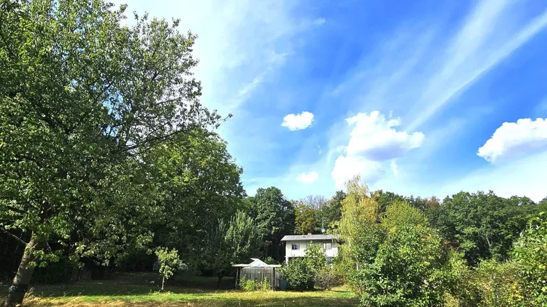 Weitläufiges Grundstück mit einem freistehenden Haus, umgeben von üppiger Vegetation und einem Gewächshaus.