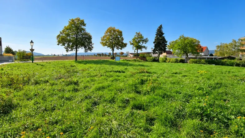 Weitläufiges grünes Grundstück mit Bäumen und Blick auf die Umgebung unter blauem Himmel.
