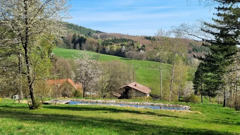 Liegenschaft in Pressbaum Obj. 3818