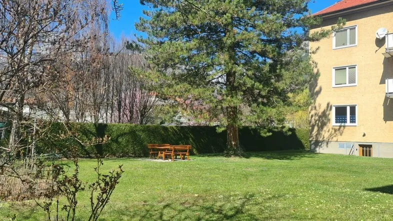 Großer Gemeinschaftsgarten mit Rasenfläche, Bäumen und Sitzgelegenheiten vor dem Wohngebäude.