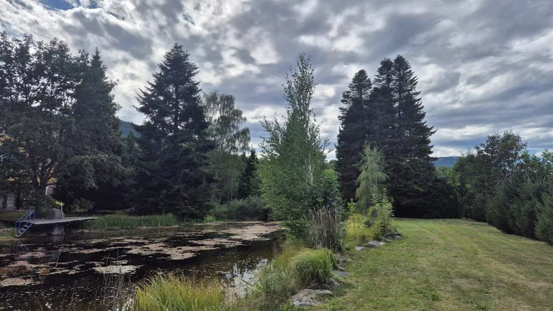 Natürlicher Teich umgeben von hohen Bäumen unter einem dramatischen, bewölkten Himmel mit grüner Wiese.