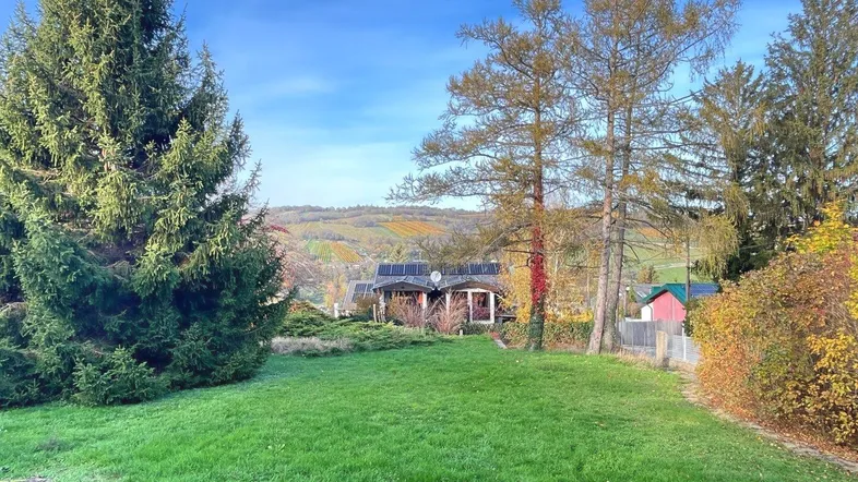 Großer Garten mit Rasenfläche und Blick auf die umliegenden Weinberge und Landschaft.