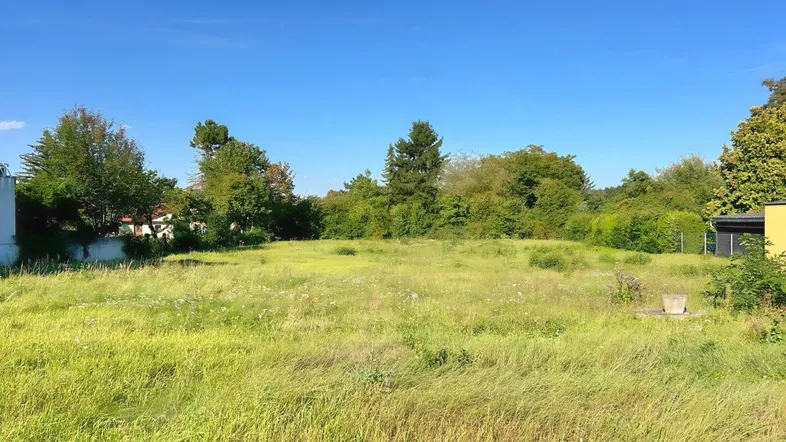 Weitläufiges Grundstück mit grüner Wiese und umgebenden Bäumen unter blauem Himmel.