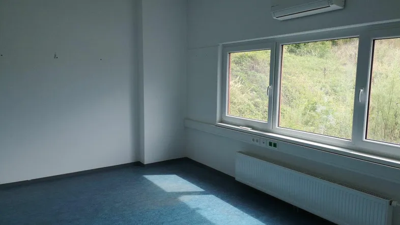 Heller Büroraum mit blauer Teppichboden, großen Fenstern und Klimaanlage, bietet Blick ins Grüne.