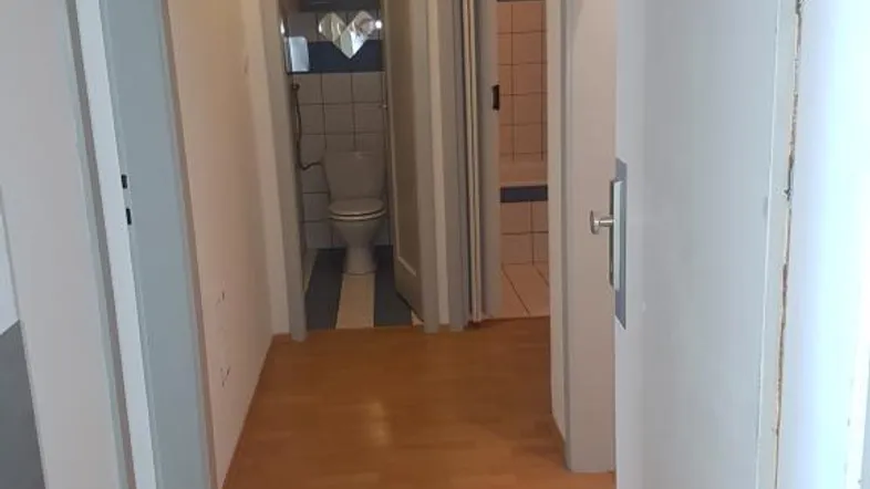 Heller Flur mit Holzparkettboden und Zugang zu verschiedenen Räumen, inklusive Toilette.