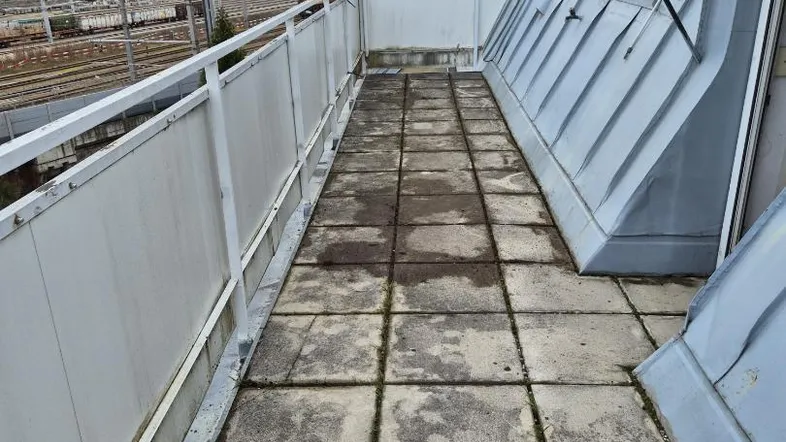 20241220_1245300