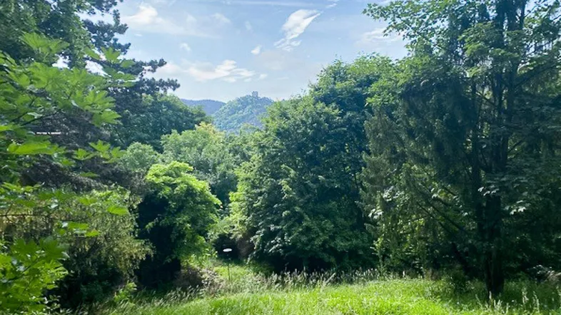 BAUGRUNDSTÜCK IN IDYLLISCHER GRÜNRUHELAGE