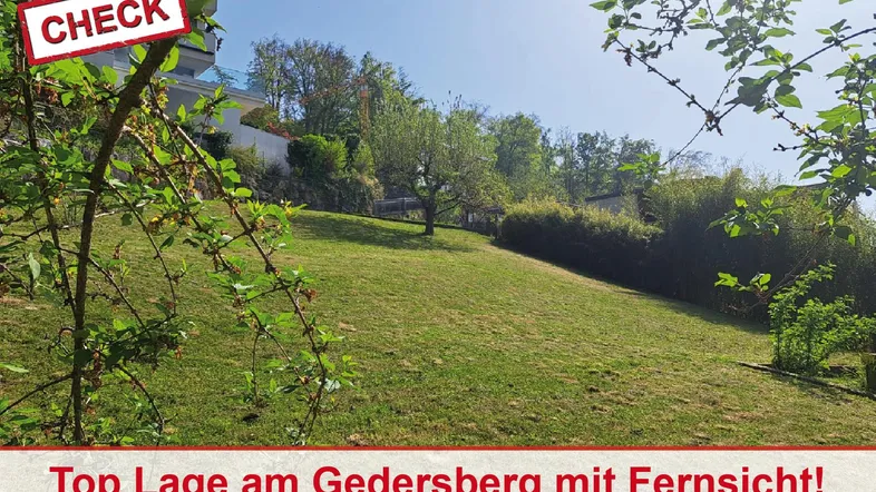 Grüner Hang mit Bäumen und einem Gebäude im Hintergrund unter blauem Himmel.