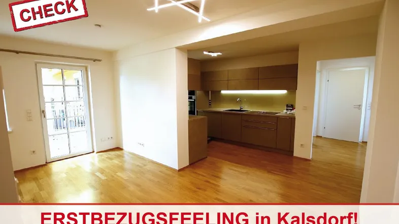 Titelbild