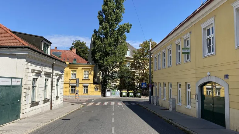 Eine sonnige Straßenszene mit traditionellen gelben Gebäuden, einem großen Baum und einem Zebrastreifen.