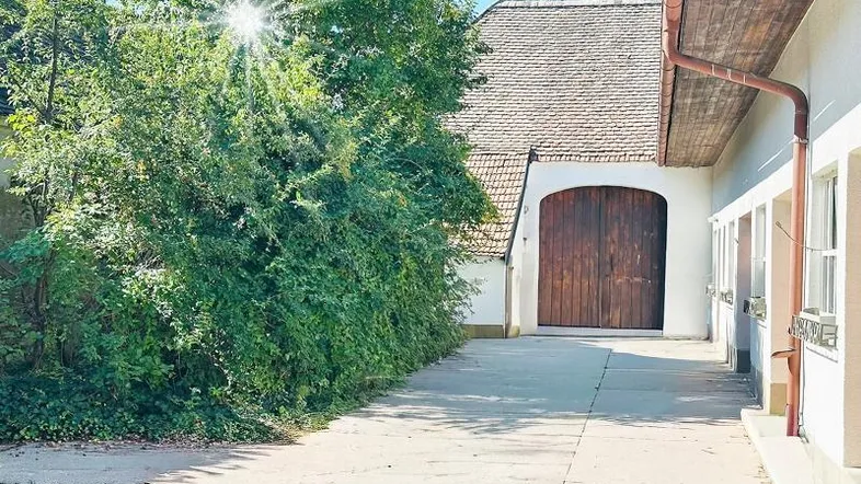 Sonniger Außenbereich mit Zufahrt zu einem Gebäude mit Holztor und üppiger Vegetation.