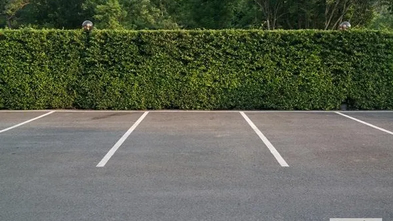 Leerer Parkplatz mit weißen Markierungen, umgeben von einer hohen grünen Hecke und Bäumen.