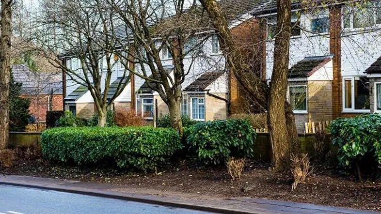 Reihenhäuser in einer Wohngegend mit gepflegter Hecke und kahlen Bäumen im Vordergrund.