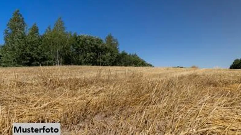 Weites Feld mit Bäumen unter klarem blauem Himmel, möglicherweise ein Baugrundstück.