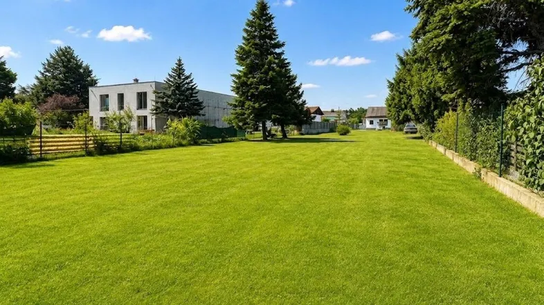 Weitläufige Rasenfläche mit hohen Bäumen und Blick auf umliegende Gebäude unter blauem Himmel.