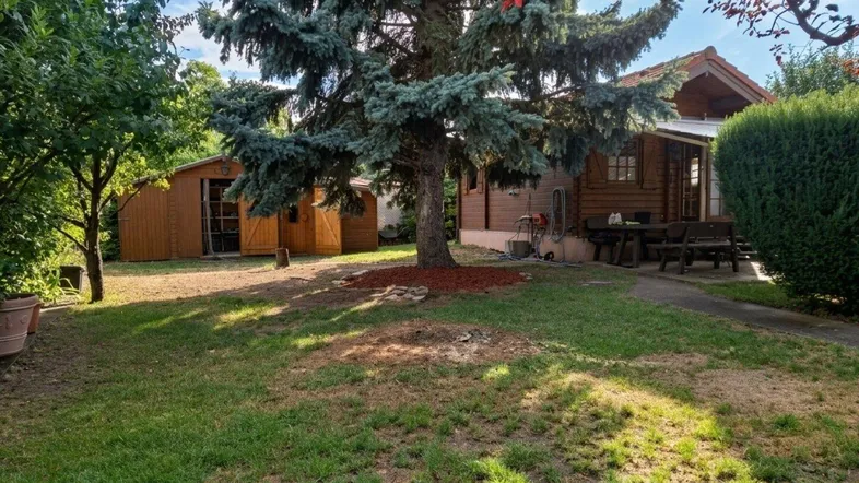 Gepflegter Gartenbereich mit einem Holzhaus, großem Baum, zwei Schuppen und einer Terrasse mit Sitzgelegenheiten.