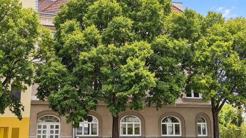 Historisches Gebäude mit üppigen Bäumen und charakteristischen Rundbogenfenstern an der Fassade.