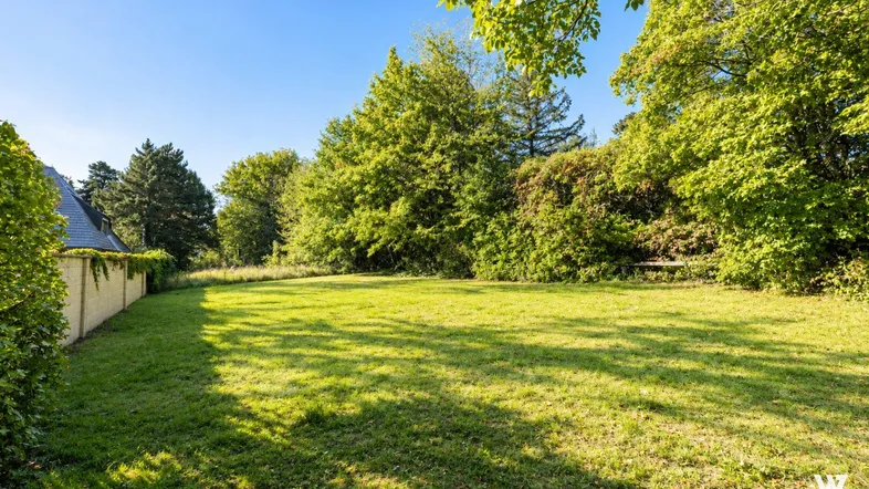 Weitläufige Rasenfläche mit üppigem Baumbestand im Hintergrund unter strahlend blauem Himmel.