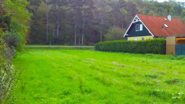 Ein charmantes Haus mit rotem Satteldach, umgeben von einer grünen Wiese und Wald im Hintergrund.