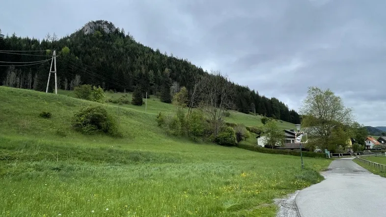 Weitläufige grüne Landschaft mit bewaldeten Hügeln und einem felsigen Gipfel unter bewölktem Himmel.