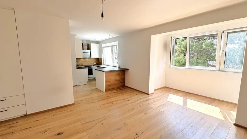 Heller, offener Wohnbereich mit moderner Küche, Holzboden und Blick ins Grüne durch große Fenster.