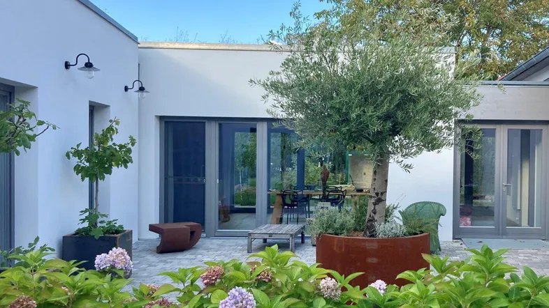Helle Terrasse mit Sitzgelegenheiten, Olivenbaum und blühenden Hortensien, umgeben von moderner Architektur.