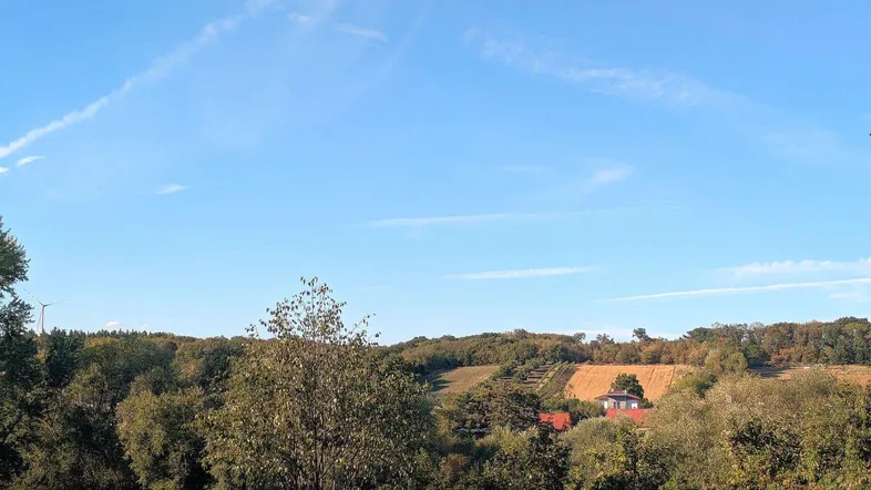 Weitläufige Landschaft mit Feldern und Bäumen unter einem klaren blauen Himmel.