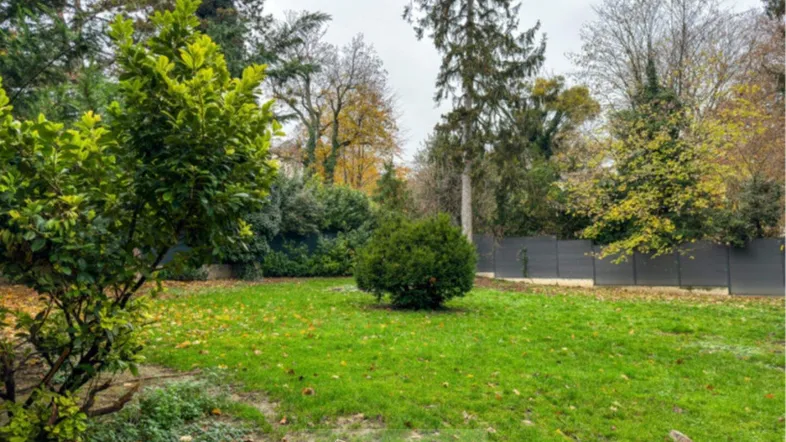 Gartenbereich mit Rasenfläche und verschiedenen Bäumen und Sträuchern in natürlicher Umgebung.