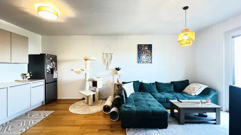 Moderner offener Wohnbereich mit integrierter Küche, bequemer Couch und Holzboden.
