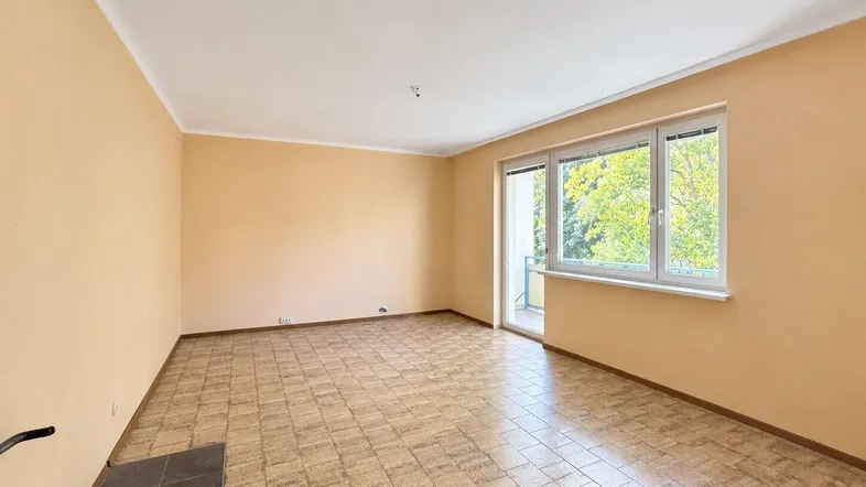 Zimmer V