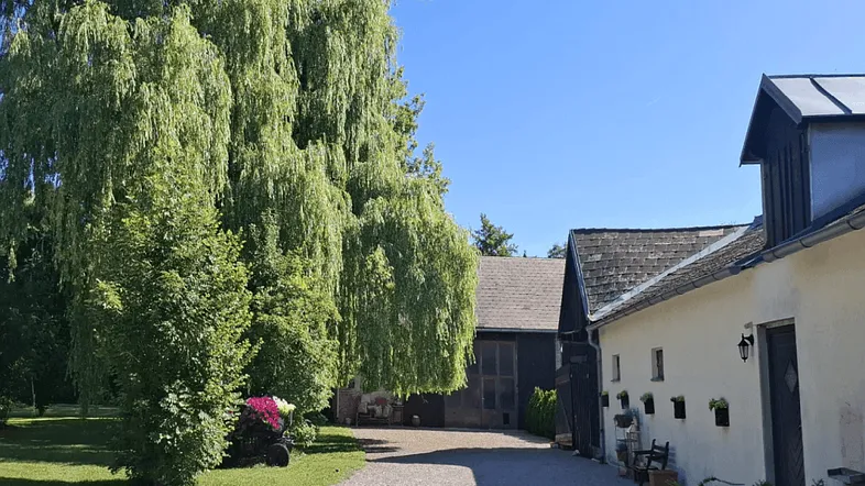 Ein malerischer Blick auf das Anwesen mit einem großen, alten Weidenbaum und einem Kiesweg, der zu den Gebäuden führt.