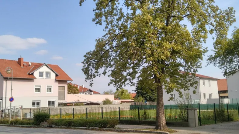 Blick auf die Umgebung mit bestehenden Gebäuden, einem Baum und einer freien Grünfläche.