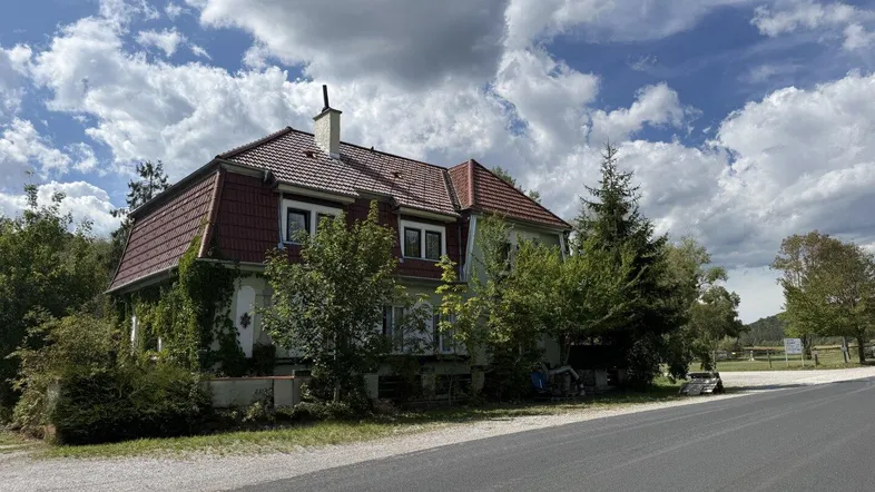 Altes Haus mit Mansarddach und grüner Fassade, umgeben von Bäumen und einer Straße.