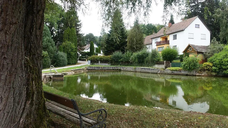 Teich mit Bank und Häusern im Hintergrund, umgeben von Bäumen und Grünflächen.