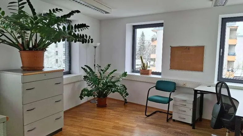 Geräumiges Büro mit Holzboden, mehreren Fenstern und viel Tageslicht, ausgestattet mit Pflanzen und Büromöbeln.