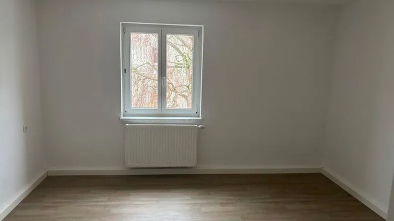 tosons ansc 501 IMG 0150.jpeg