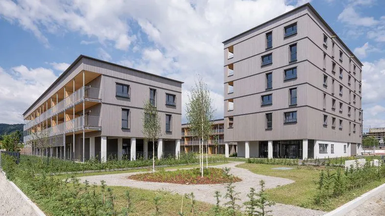Moderne Mehrfamilienhäuser mit grauer Holzfassade, großen Fenstern und begrünten Außenanlagen unter blauem Himmel.