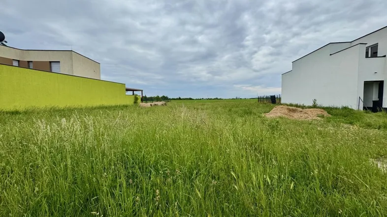 Weitläufiges, grünes Grundstück mit hohem Gras, umgeben von modernen Neubauten unter bewölktem Himmel.