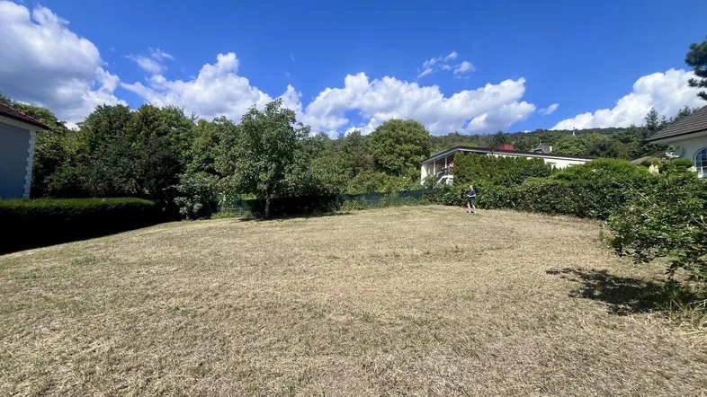 Großes Grundstück mit trockenem Rasen und umgebender Vegetation unter blauem Himmel.