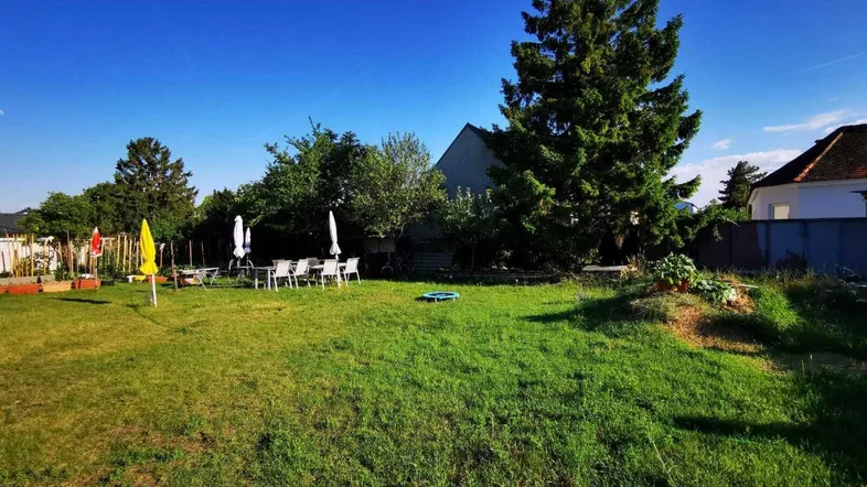 Großer, sonniger Gartenbereich mit Rasenfläche, altem Baum und Sitzgelegenheiten im Freien.
