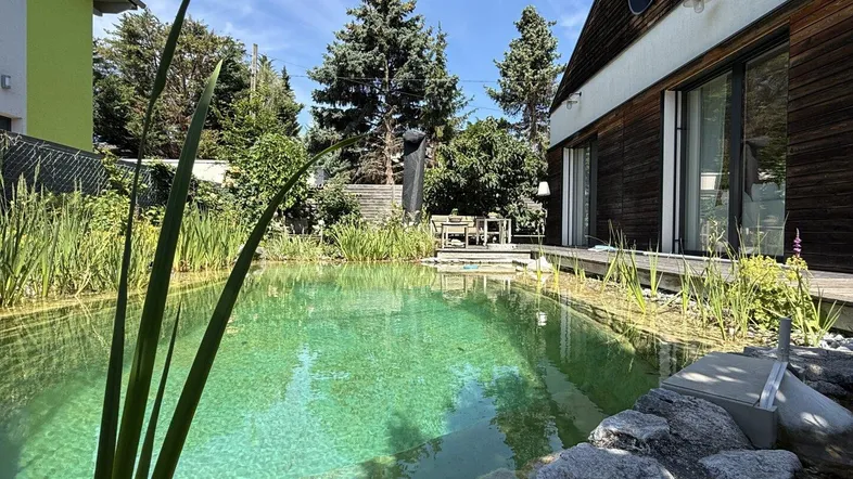 Natürlicher Schwimmteich im Garten mit Holzterrasse und Blick auf das moderne Haus.