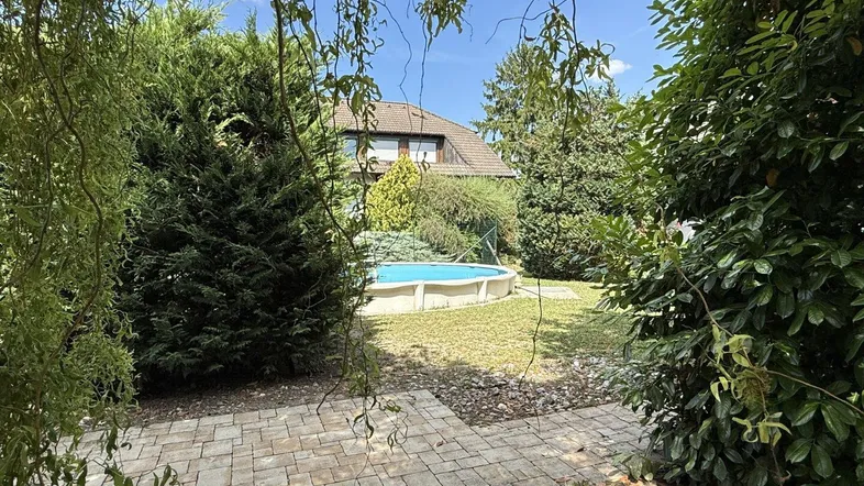 Gepflegter Garten mit Aufstellpool, umgeben von üppigem Grün und einem gepflasterten Weg unter blauem Himmel.